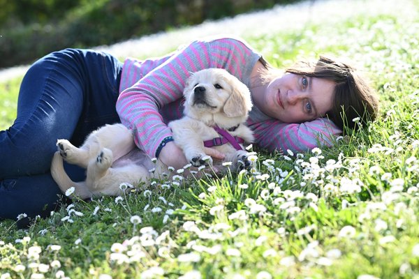 Quel rôle jouent les ONG dans la protection animale?