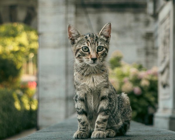 Matériel apiculture : guide complet pour débutants et experts